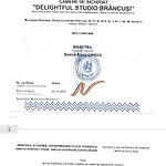 Delightful Brancusi Apartman Bukarest