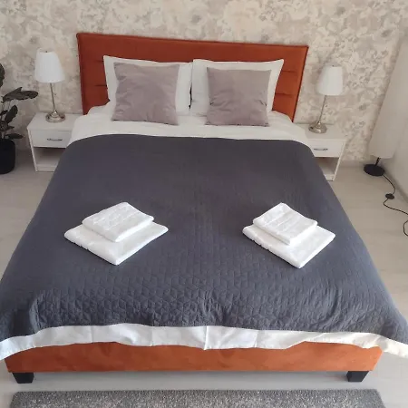 Apartament Delightful Brancusi *