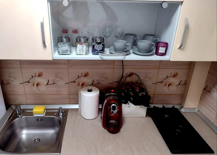 Delightful Brancusi Апартаменти *