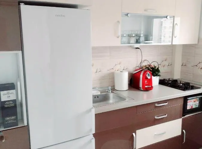 Delightful Brancusi * Bukurešť