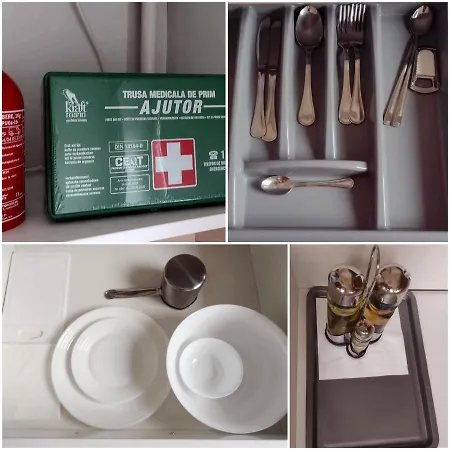 Delightful Brancusi * Bükreş