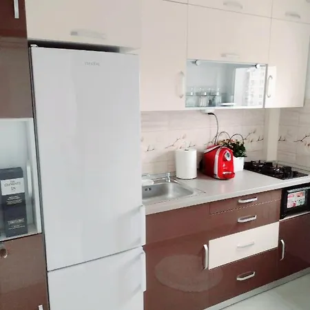 Delightful Brancusi * Bükreş