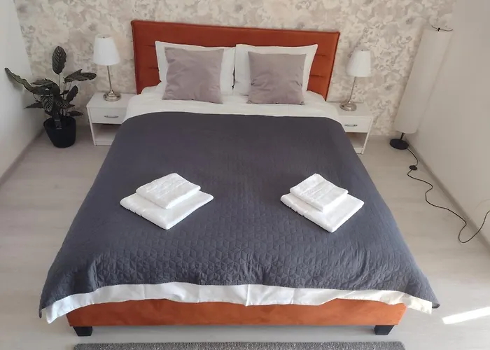 アパート Delightful Brancusi *